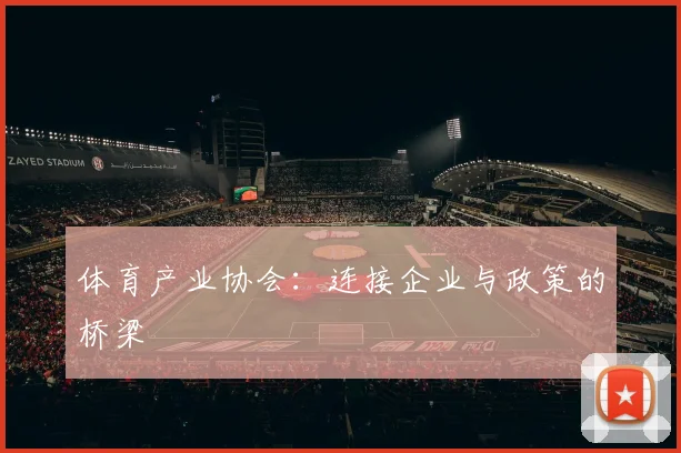 体育产业协会：连接企业与政策的桥梁