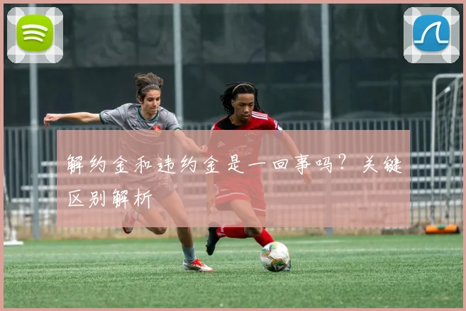 解约金和违约金是一回事吗?关键区别解析