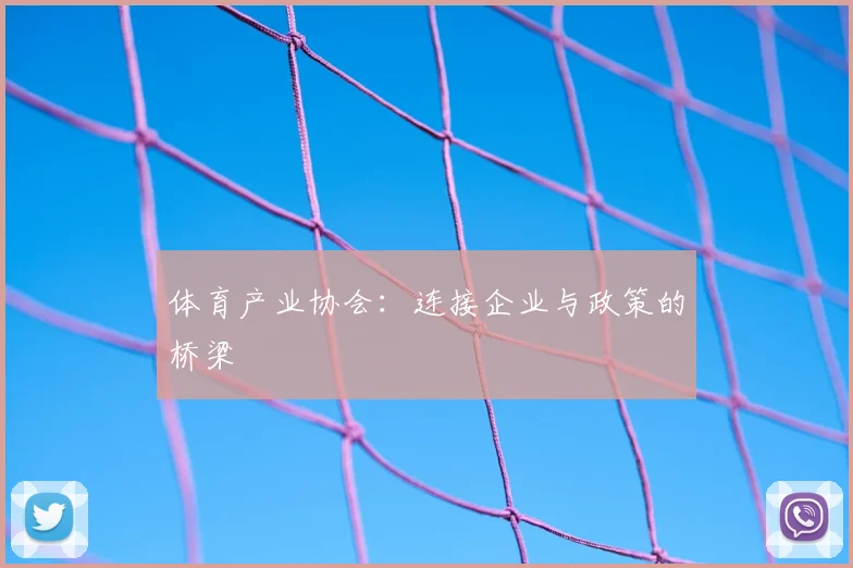 体育产业协会：连接企业与政策的桥梁